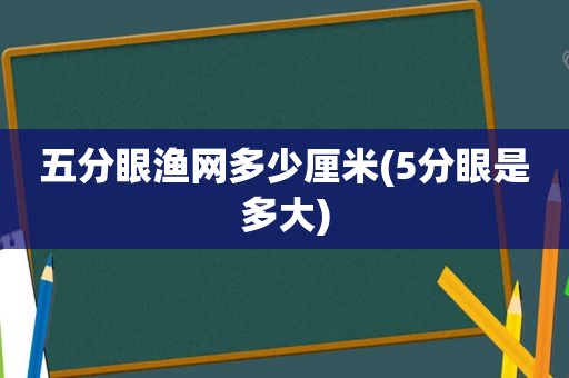 五分眼渔网多少厘米(5分眼是多大)