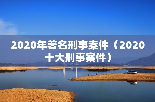 2020年著名刑事案件（2020十大刑事案件）