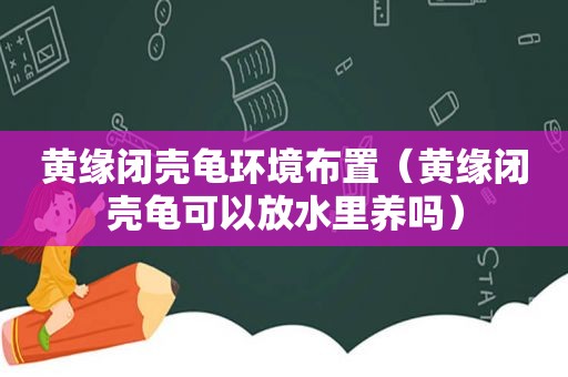 黄缘闭壳龟环境布置（黄缘闭壳龟可以放水里养吗）