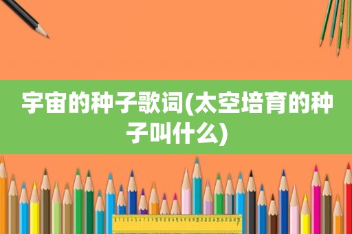 宇宙的种子歌词(太空培育的种子叫什么)