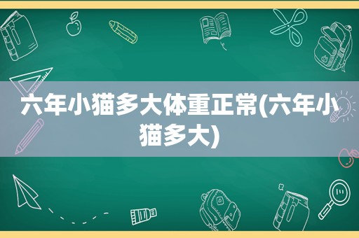 六年小猫多大体重正常(六年小猫多大)