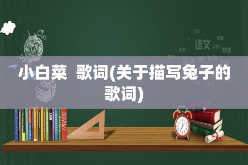 小白菜  歌词(关于描写兔子的歌词)