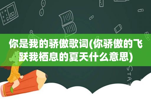 你是我的骄傲歌词(你骄傲的飞跃我栖息的夏天什么意思)