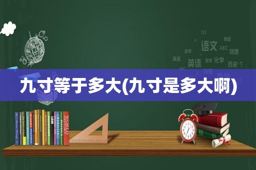 九寸等于多大(九寸是多大啊)