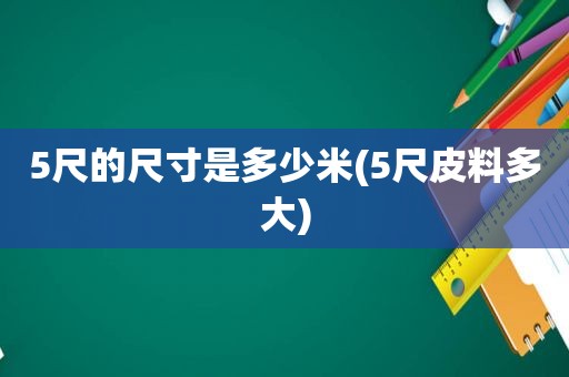 5尺的尺寸是多少米(5尺皮料多大)