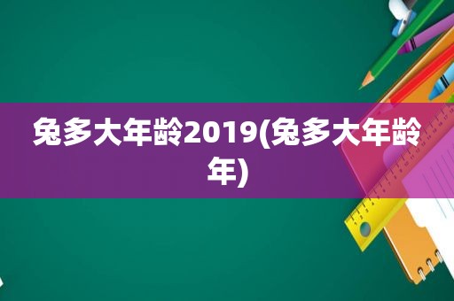 兔多大年龄2019(兔多大年龄年)