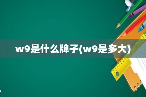 w9是什么牌子(w9是多大)