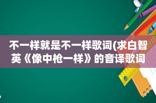 不一样就是不一样歌词(求白智英《像中枪一样》的音译歌词，中文的，不要罗马拼音的)