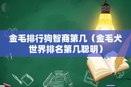 金毛排行狗智商第几（金毛犬世界排名第几聪明）