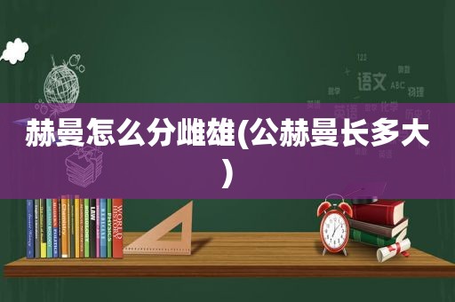 赫曼怎么分雌雄(公赫曼长多大)