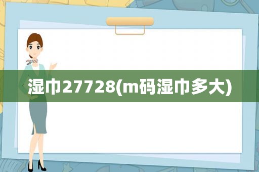 湿巾27728(m码湿巾多大)