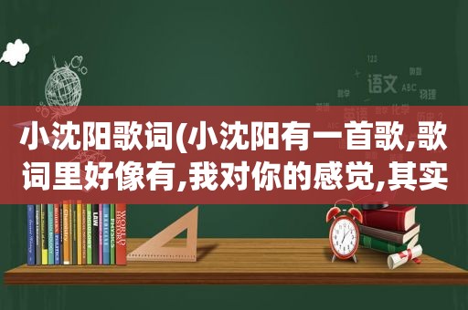 小沈阳歌词(小沈阳有一首歌,歌词里好像有,我对你的感觉,其实 *** ,什么歌啊)