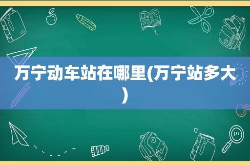 万宁动车站在哪里(万宁站多大)