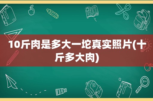 10斤肉是多大一坨真实照片(十斤多大肉)