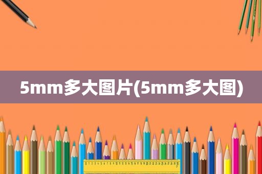 5mm多大图片(5mm多大图)