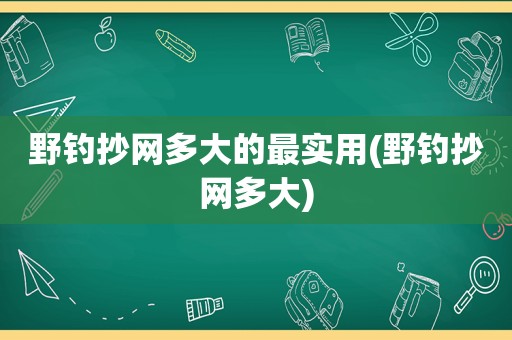 野钓抄网多大的最实用(野钓抄网多大)