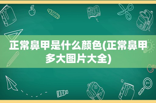 正常鼻甲是什么颜色(正常鼻甲多大图片大全)