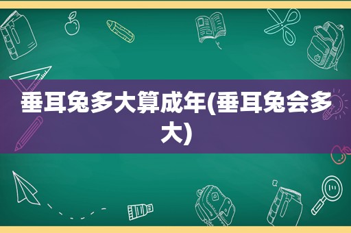 垂耳兔多大算成年(垂耳兔会多大)