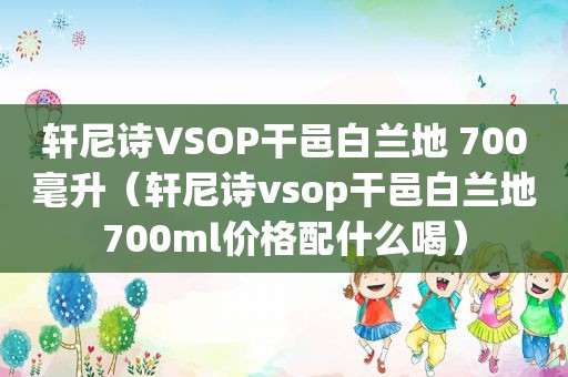 轩尼诗VSOP干邑白兰地 700毫升（轩尼诗vsop干邑白兰地700ml价格配什么喝）