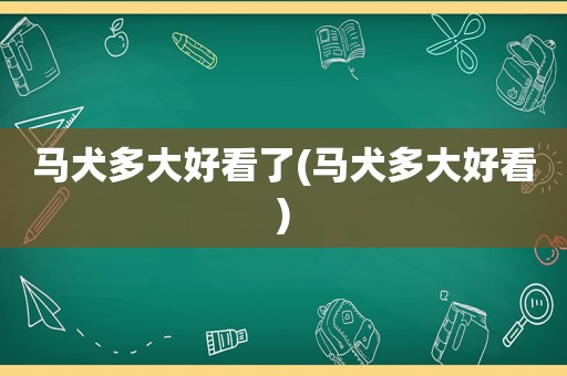 马犬多大好看了(马犬多大好看)