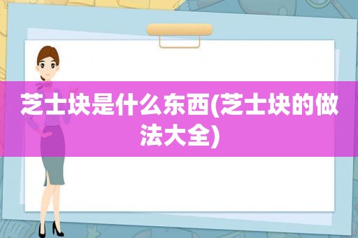 芝士块是什么东西(芝士块的做法大全)