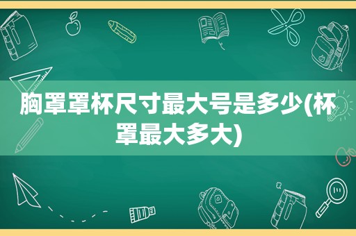 胸罩罩杯尺寸最大号是多少(杯罩最大多大)