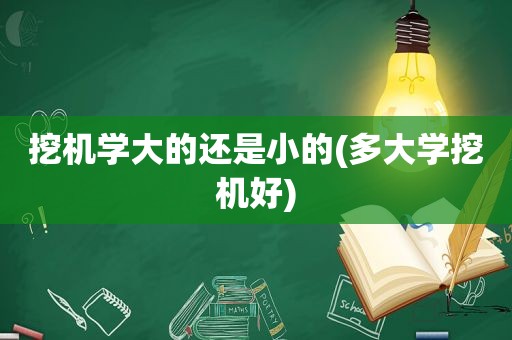 挖机学大的还是小的(多大学挖机好)