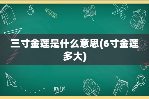 三寸金莲是什么意思(6寸金莲多大)