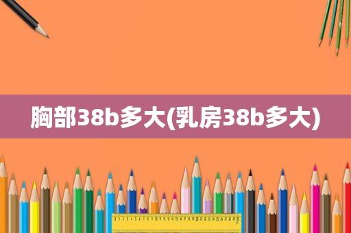 胸部38b多大( *** 38b多大)