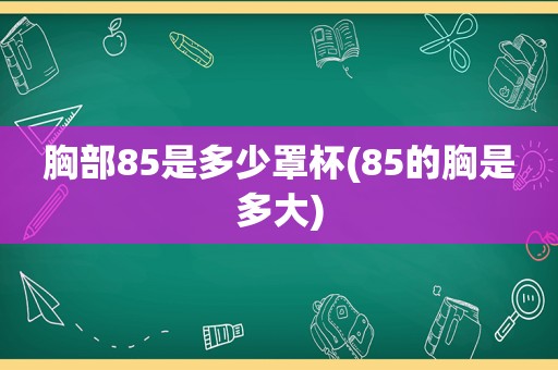 胸部85是多少罩杯(85的胸是多大)