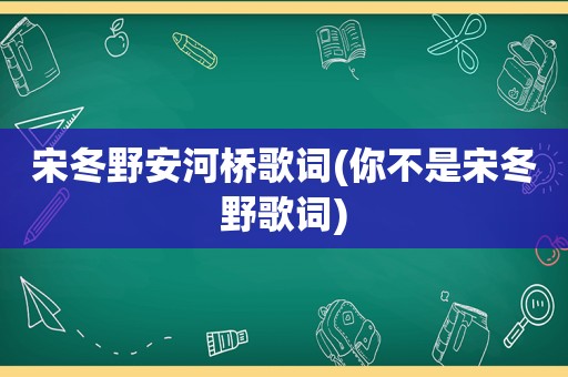 宋冬野安河桥歌词(你不是宋冬野歌词)