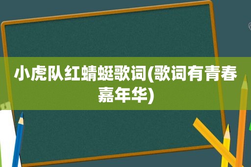 小虎队红蜻蜓歌词(歌词有青春嘉年华)