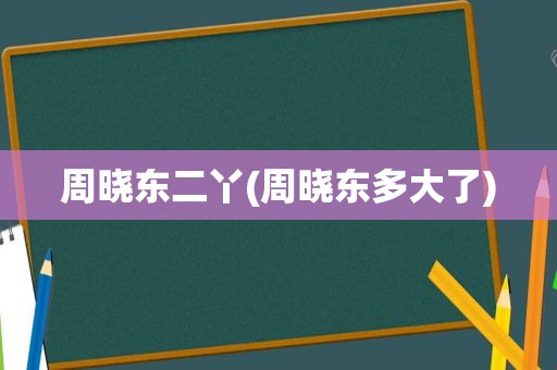 周晓东二丫(周晓东多大了)