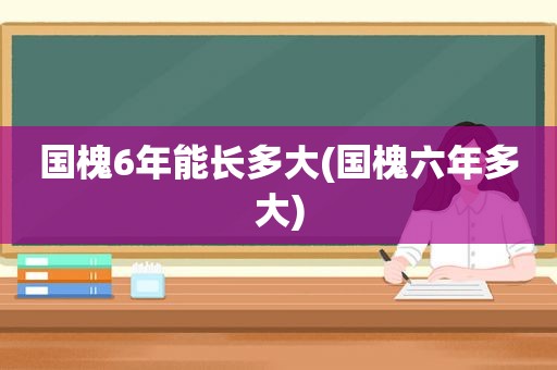 国槐6年能长多大(国槐六年多大)