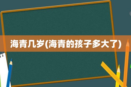 海青几岁(海青的孩子多大了)