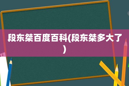 段东桀百度百科(段东桀多大了)