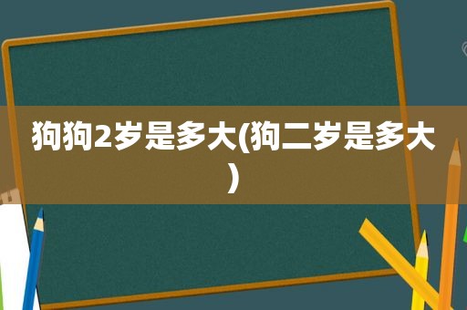 狗狗2岁是多大(狗二岁是多大)