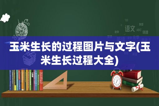 玉米生长的过程图片与文字(玉米生长过程大全)