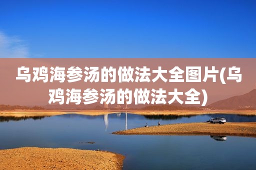 乌鸡海参汤的做法大全图片(乌鸡海参汤的做法大全)