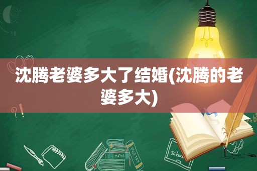 沈腾老婆多大了结婚(沈腾的老婆多大)