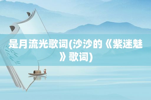 是月流光歌词(沙沙的《紫迷魅》歌词)