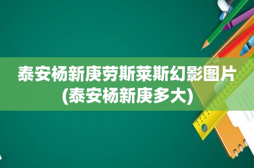 泰安杨新庚劳斯莱斯幻影图片(泰安杨新庚多大)