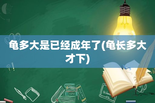 龟多大是已经成年了(龟长多大才下)