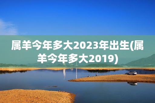 属羊今年多大2023年出生(属羊今年多大2019)