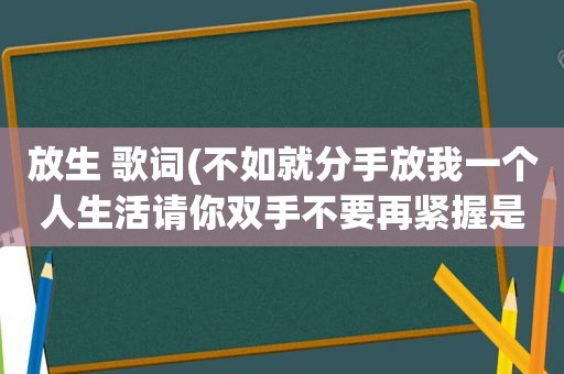 放生 歌词(不如就分手放我一个人生活请你双手不要再紧握是哪首歌的歌词)