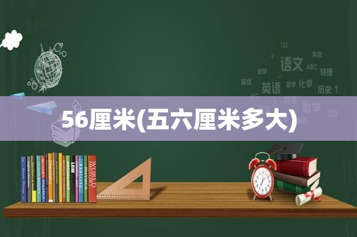 56厘米(五六厘米多大)