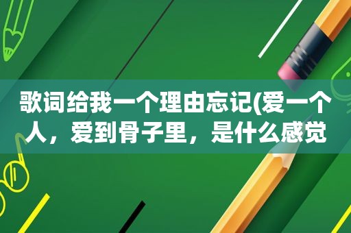 歌词给我一个理由忘记(爱一个人，爱到骨子里，是什么感觉)