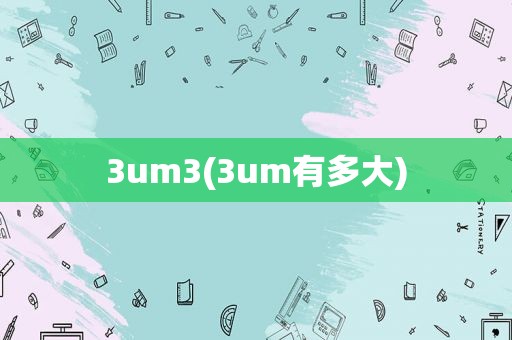 3um3(3um有多大)