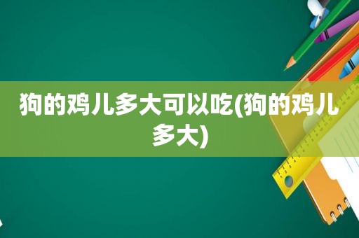 狗的鸡儿多大可以吃(狗的鸡儿多大)