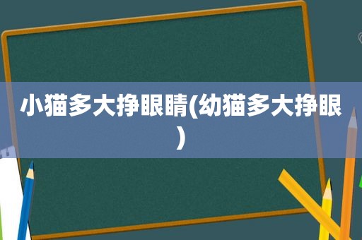 小猫多大挣眼睛(幼猫多大挣眼)